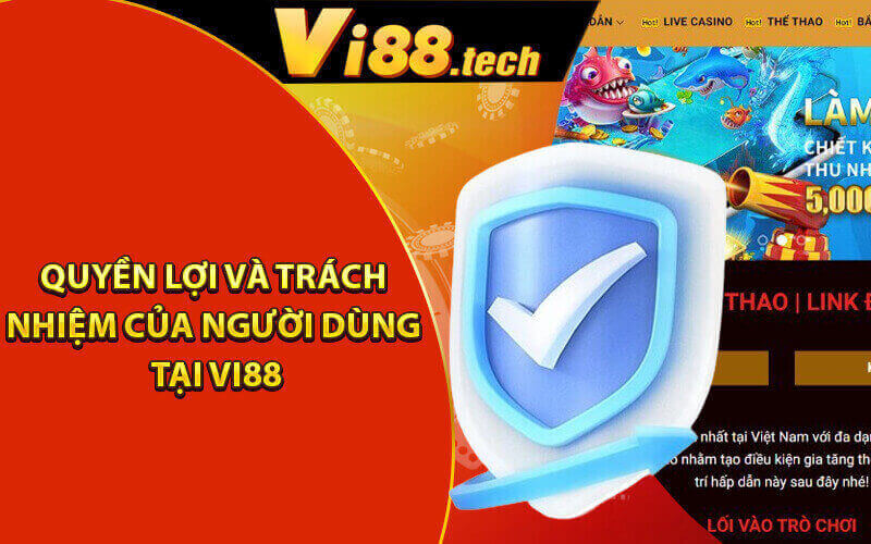 Chính sách bảo mật Vi88